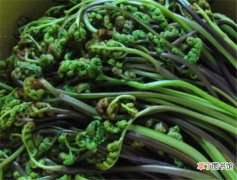 【吃】蕨菜对人体有害吗 干蕨菜不能和什么一起吃
