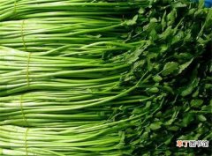 【种植方法】水芹菜怎么种植方法 水芹菜的功效与作用