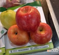 【缺点】秦脆苹果优缺点及栽植要求有哪些？