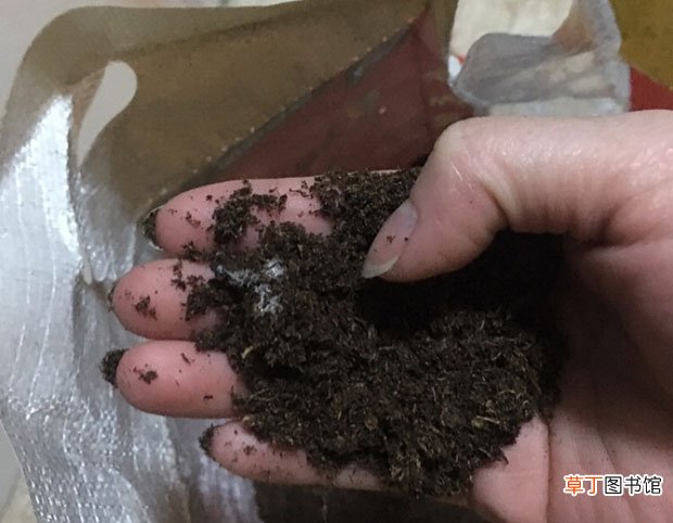 【区别】腐叶土和泥炭土哪个好|附区别有哪些？