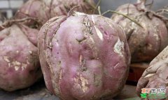 【种植】红薯种植想高产方法有哪些？