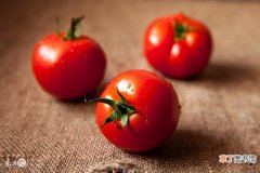 【番茄】番茄果实关键的套袋技术有哪些？