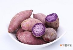 【红薯】紫薯和红薯区别有哪些？