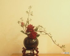 【花】东式玫瑰插花