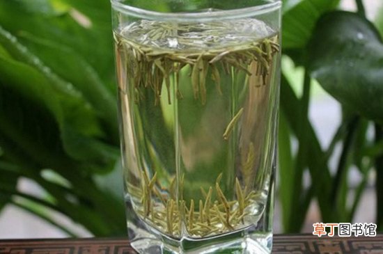 【茶】兰花的茶的主要功效有哪些？
