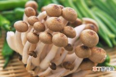 【种植方法】蘑菇种植方法有哪些？