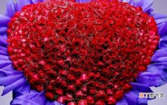 【花】16朵红玫瑰代表什么意思 16朵红玫瑰组合花束含义有哪些？