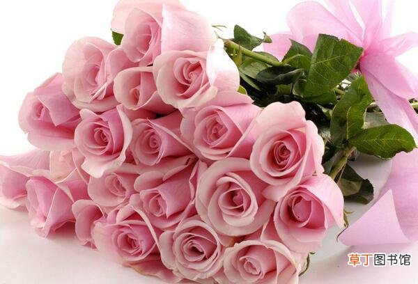 【玫瑰花】送18朵玫瑰代表什么意思 18朵不同颜色玫瑰花含义有哪些？