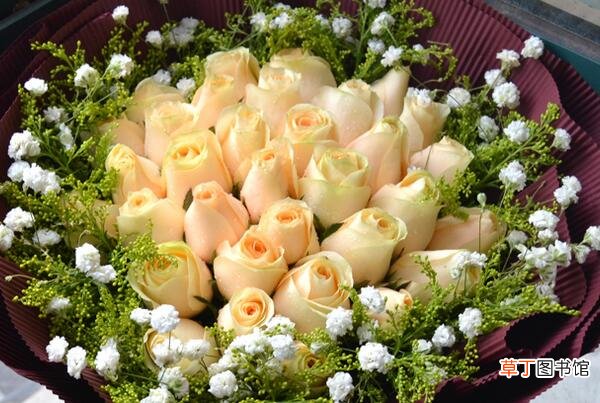 【玫瑰花】送18朵玫瑰代表什么意思 18朵不同颜色玫瑰花含义有哪些？