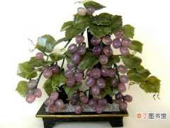 【葡萄】盆栽葡萄施肥技术有哪些？