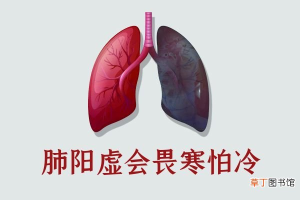 肺阳虚的症状表现有哪些？这三点要牢记！