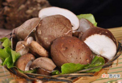 【吃】香菇可以抗癌吗？有哪些人不宜吃香菇？