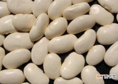 【减肥】白芸豆能减肥吗：可以，能有效阻断碳水化合物