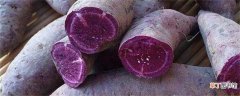 【紫薯】中国哪里产的紫薯最好