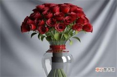 【插花】玫瑰花怎么插花瓶好看，4个步骤可插处最美花卉