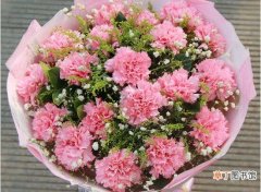 【花】康乃馨花束怎么养，5个步骤让你的康乃馨花束活过来