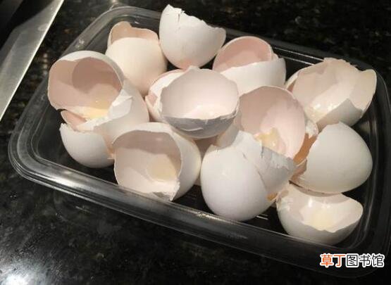 【旺盛】吊兰为什么要放鸡蛋壳，增加磷化钙/让吊兰更加旺盛
