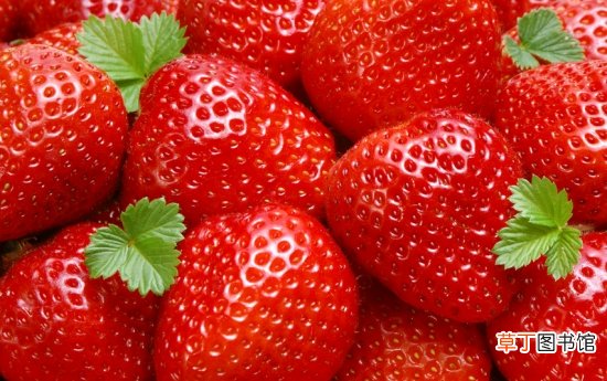 【保鲜】草莓怎么保存：洗干净沥去水放在保鲜盒冷冻