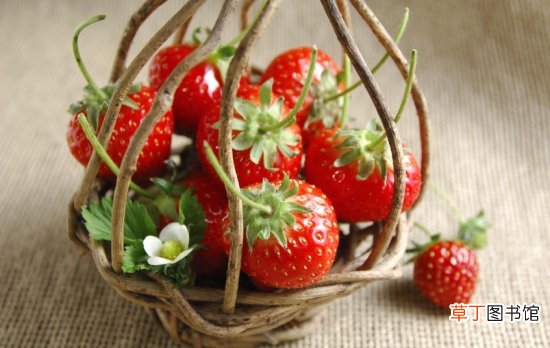 【保鲜】草莓怎么保存：洗干净沥去水放在保鲜盒冷冻