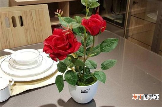 【种植方法】玫瑰花可以剪枝摘种植，剪枝两种摘种植方法