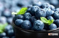 【吃】蓝莓吃多了会怎么样，腹胀腹泻体质变寒/容易患病