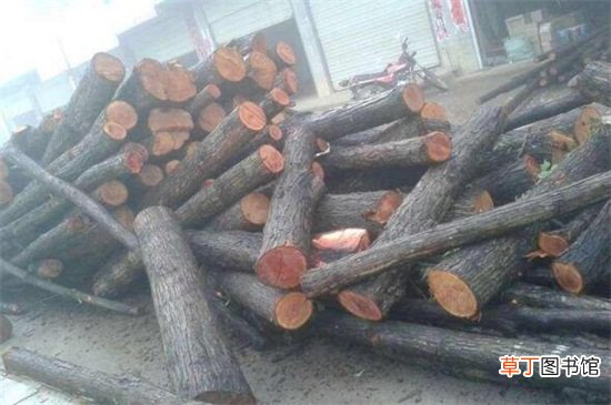 【种类】木材种类
