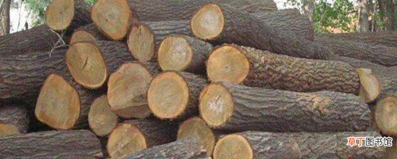 【种类】木材种类