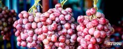 【水果】葡萄是寒性水果吗
