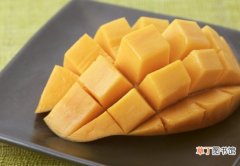 【吃】孕妇能吃芒果吗