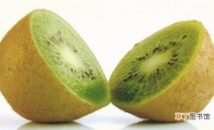 【奇异果】猕猴桃和奇异果的区别：猕猴桃摸起来比奇异果更粗糙