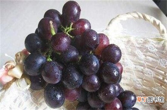 【多】一颗葡萄多少克，10～15克左右/一天食用不要超过200克