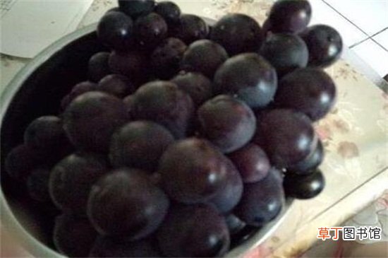 【多】一颗葡萄多少克，10～15克左右/一天食用不要超过200克