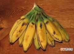 【产地】香蕉的产地有哪些：香蕉产地大多分布在热带和亚热带地区