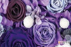 【寓意】16朵紫玫瑰的寓意，表示多变不安/我只爱你与祝你顺利