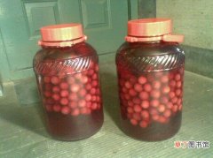 【水果】杨梅酒是怎样酿造的：酿酒时水果、酒和糖的比例最重要