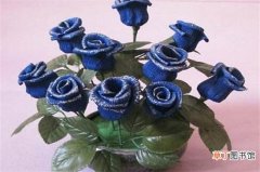 【插花】蓝色妖姬买来后怎么养，正常插花/2种保存鲜花方法