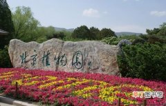 【植物】北京植物园好玩吗：观赏种类达5000多种