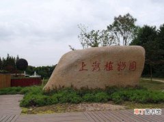 【植物】上海植物园地址：近百色路