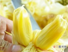 【吃】菠萝蜜怎么吃：熟与未熟的吃法介绍