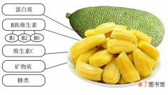 【吃】孕妇能吃菠萝蜜吗：不可过量,注意避免过敏