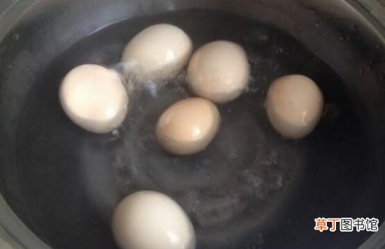 【君子兰】君子兰浇鸡蛋液可以吗，怎样用鸡蛋浇君子兰