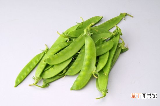 【营养】荷兰豆的营养价值：增强新陈代谢,润泽皮肤