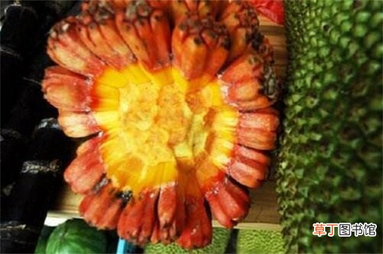 【吃】野菠萝怎么打开吃肉