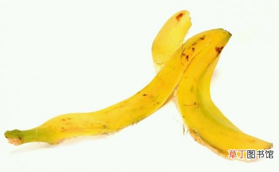 【养花】香蕉皮五大妙用：养花，洁齿，擦皮鞋，治冻疮以及祛瘙痒