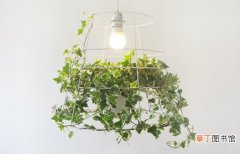 【作用】灯光能为植物补光吗：只是起到补充作用，并不能代替阳光。