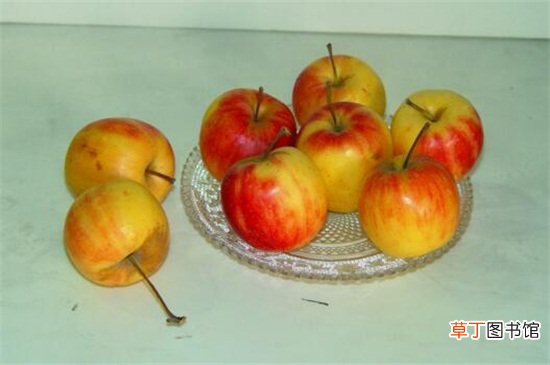 【水果】小苹果叫什么水果，像苹果的海棠果