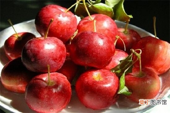 【水果】小苹果叫什么水果，像苹果的海棠果