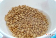 简版 【养殖方法】小麦草的养殖方法：简单易上手的小麦苗培养方法