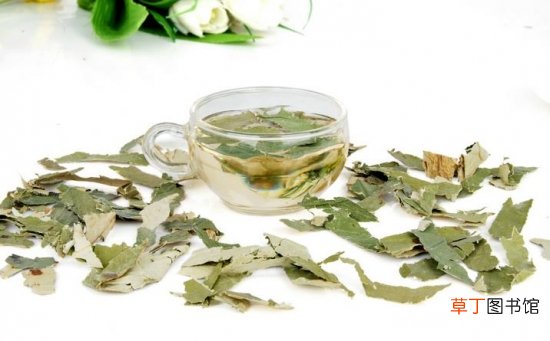【茶】荷叶茶的功效与作用：女性经期暂停饮用