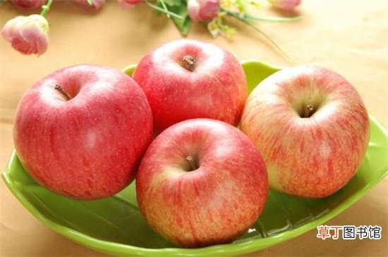【季节】苹果在什么季节成熟
